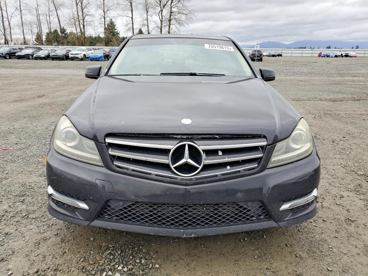2014 Mercedes-Benz C-Class - Image 5