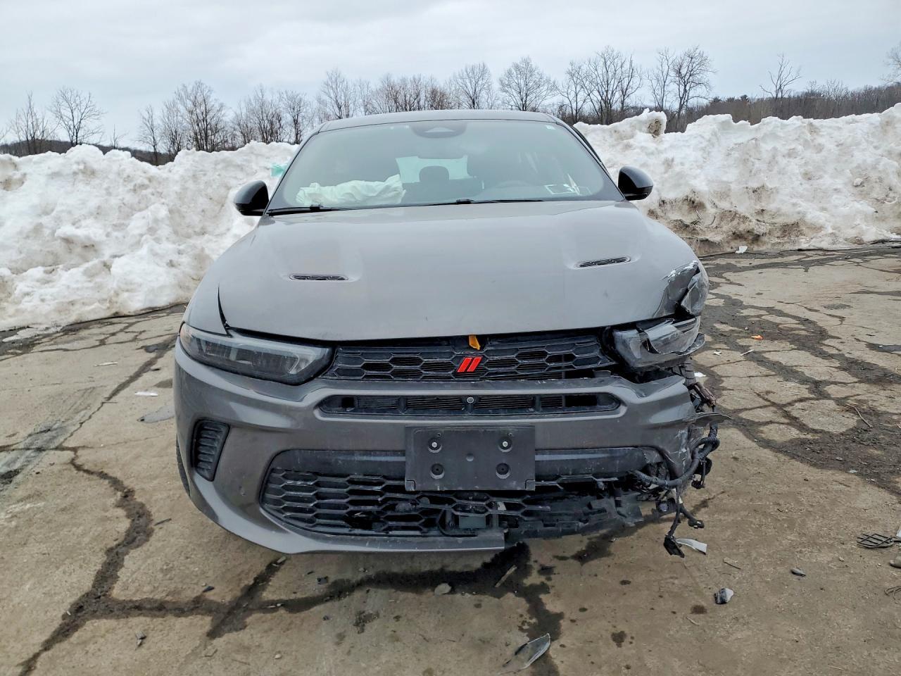 2024 Dodge Hornet R/T - Фото 5