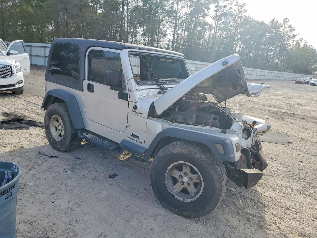 2004 Jeep Wrangler / Tj Sport - Фото 4