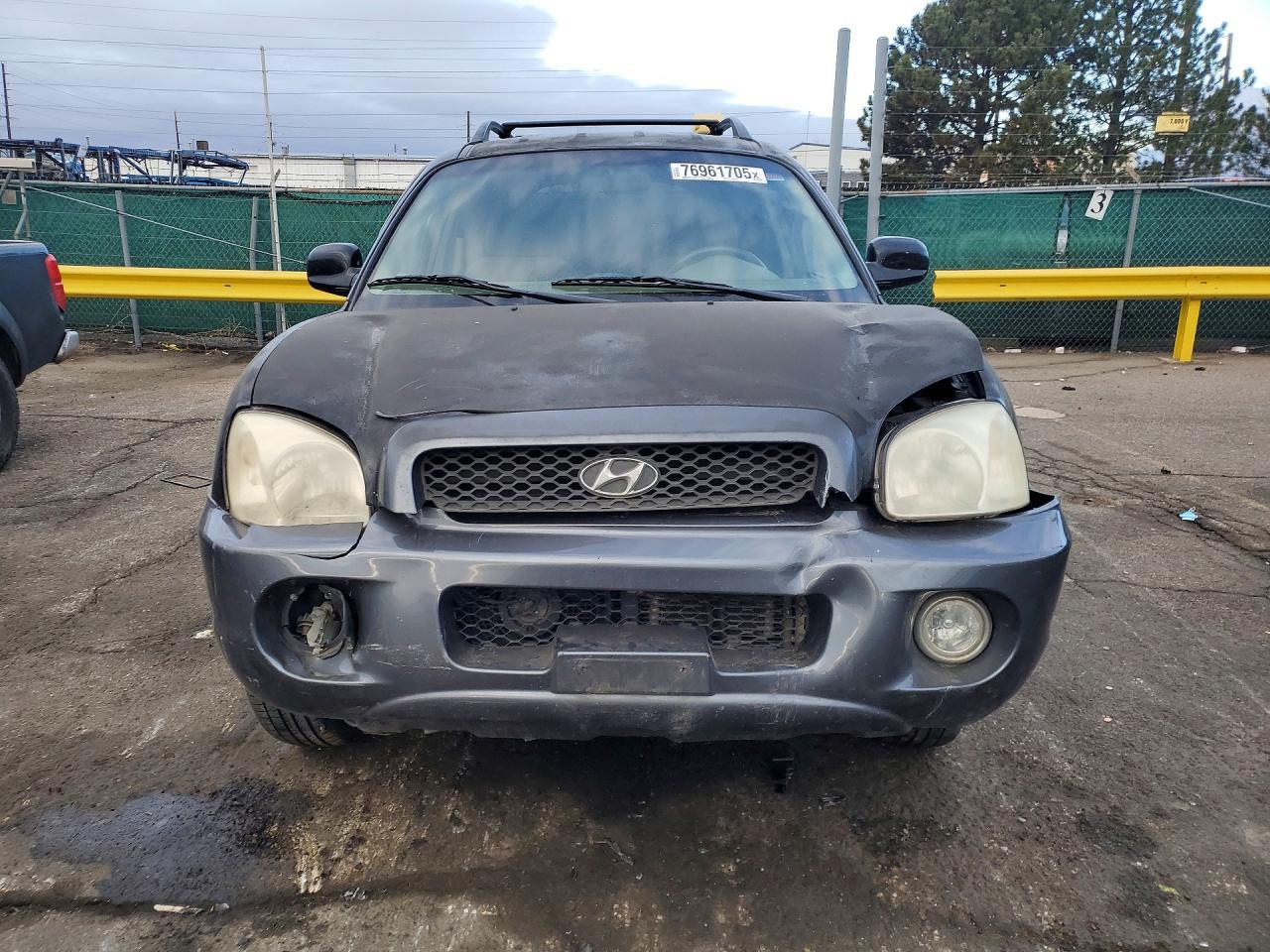 2004 Hyundai Santa Fe Gls - Фото 5