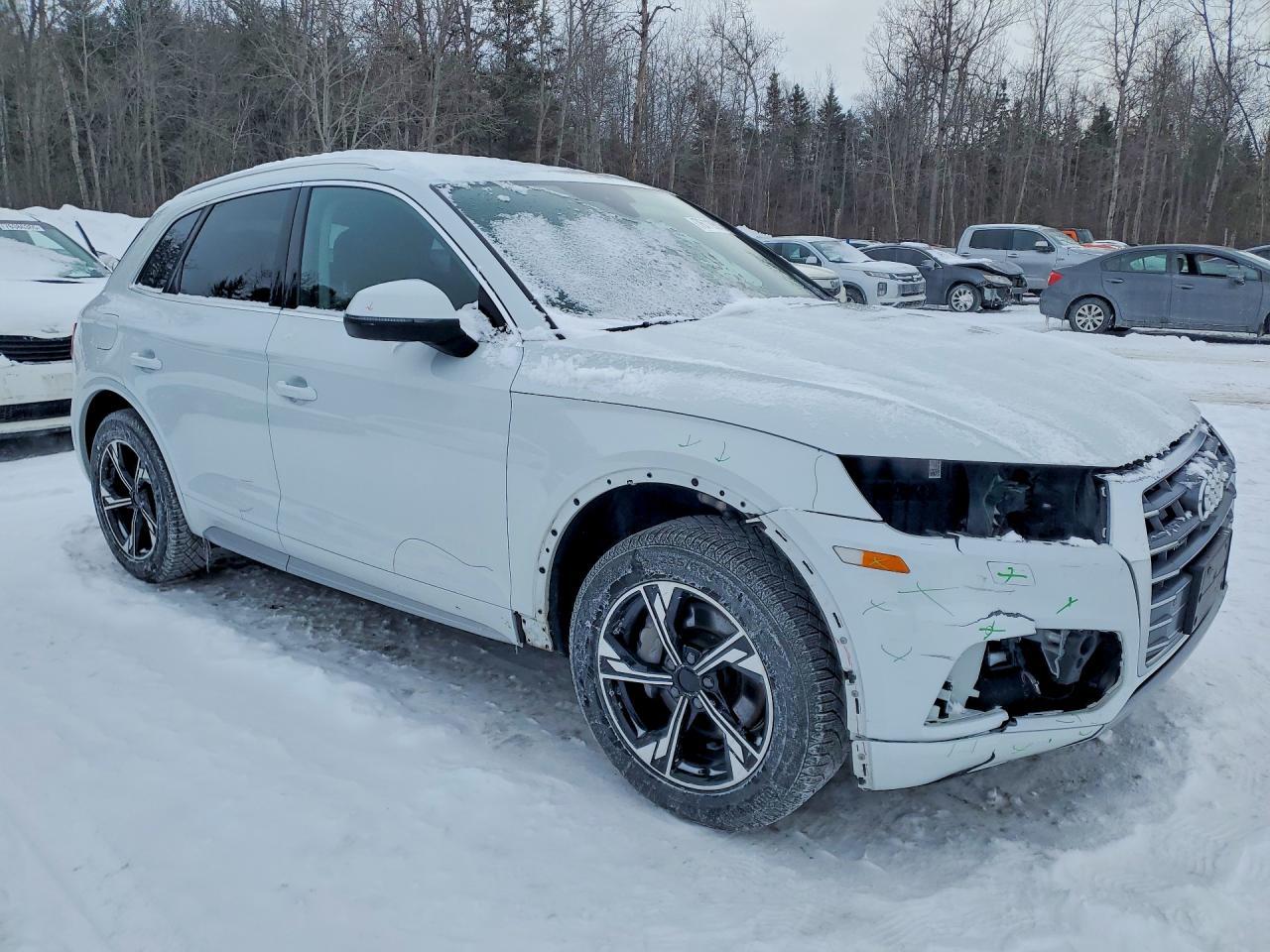 2019 Audi Q5 Prestige - Фото 4