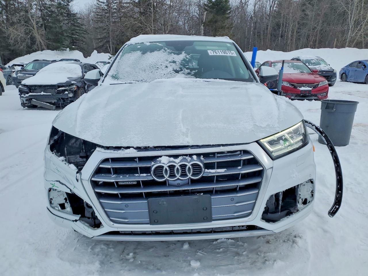 2019 Audi Q5 Prestige - Фото 5