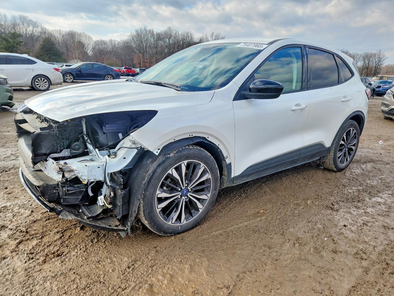 2022 Ford Escape Se