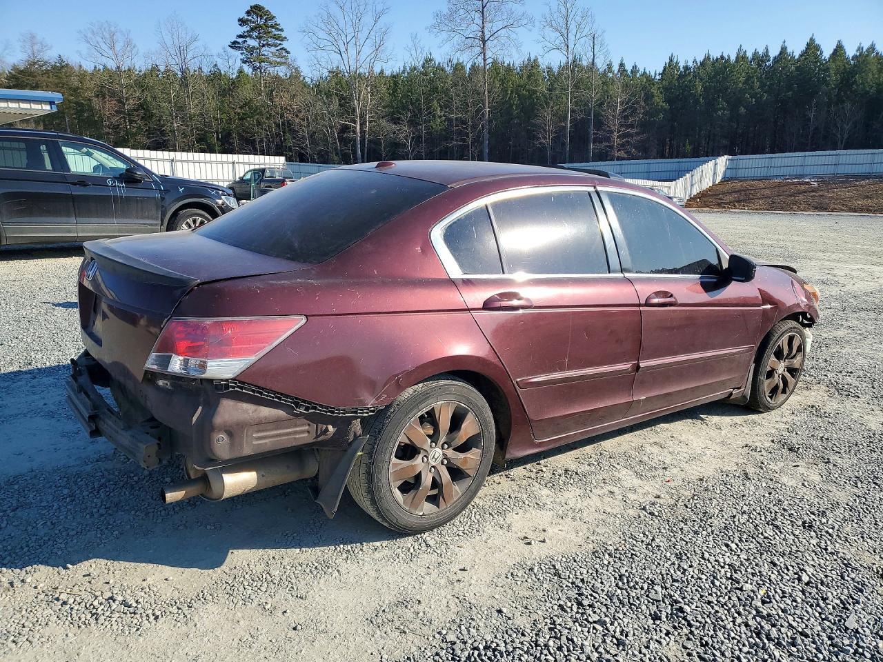 2008 Honda Accord Exl - Фото 3