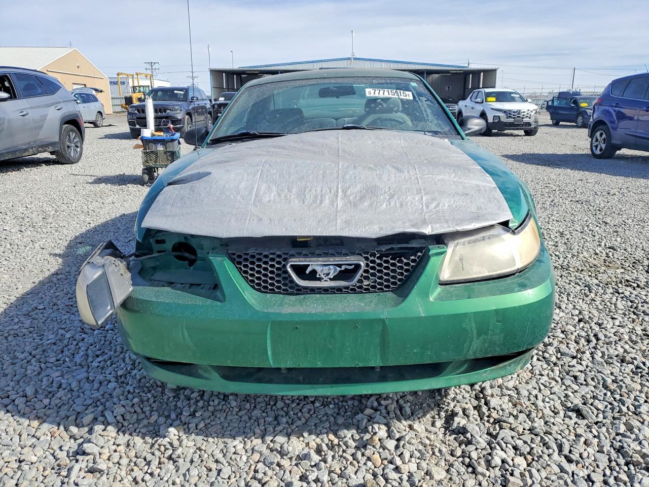 1999 Ford Mustang - Фото 5