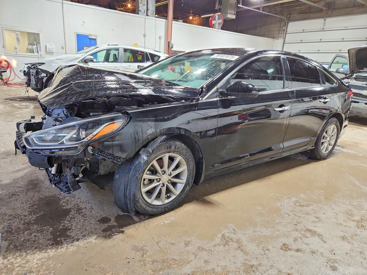 2019 Hyundai Sonata Sel