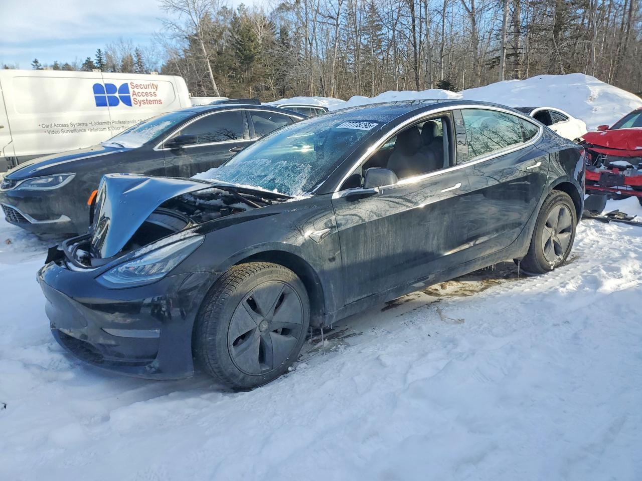 2019 Tesla Model 3