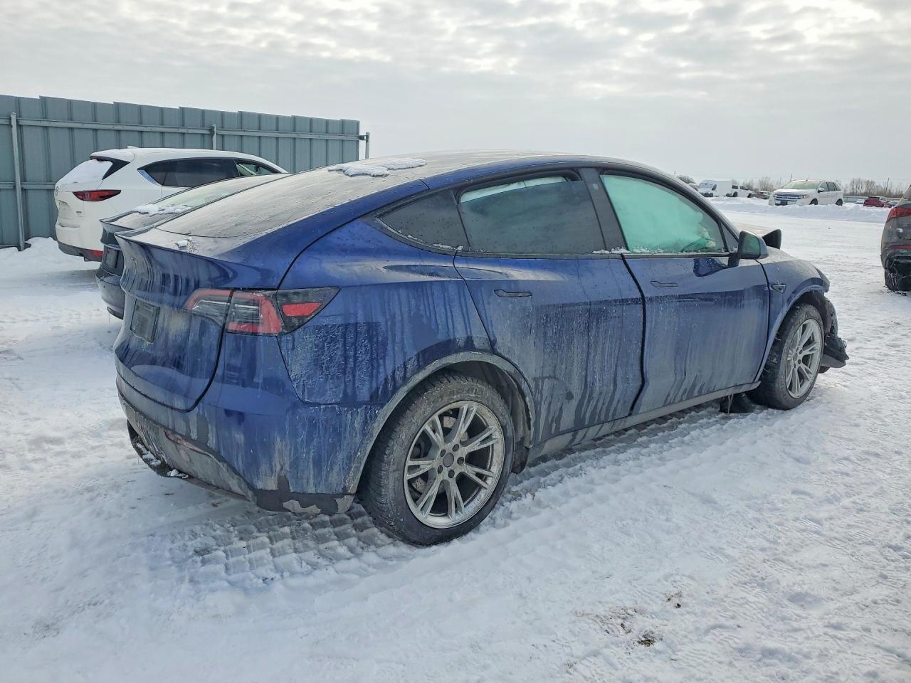 2023 Tesla Model Y - Фото 3