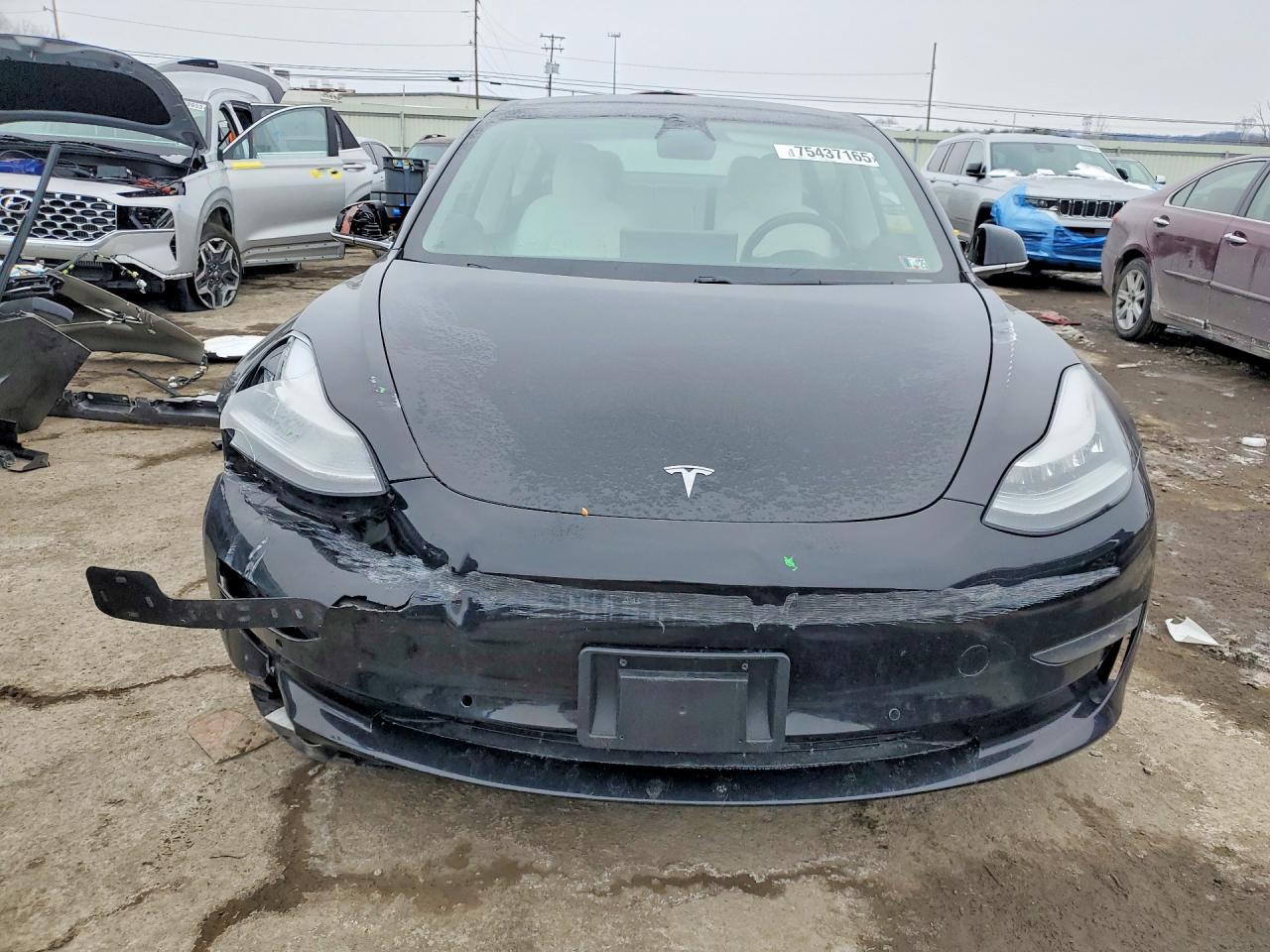 2019 Tesla Model 3 - Фото 5