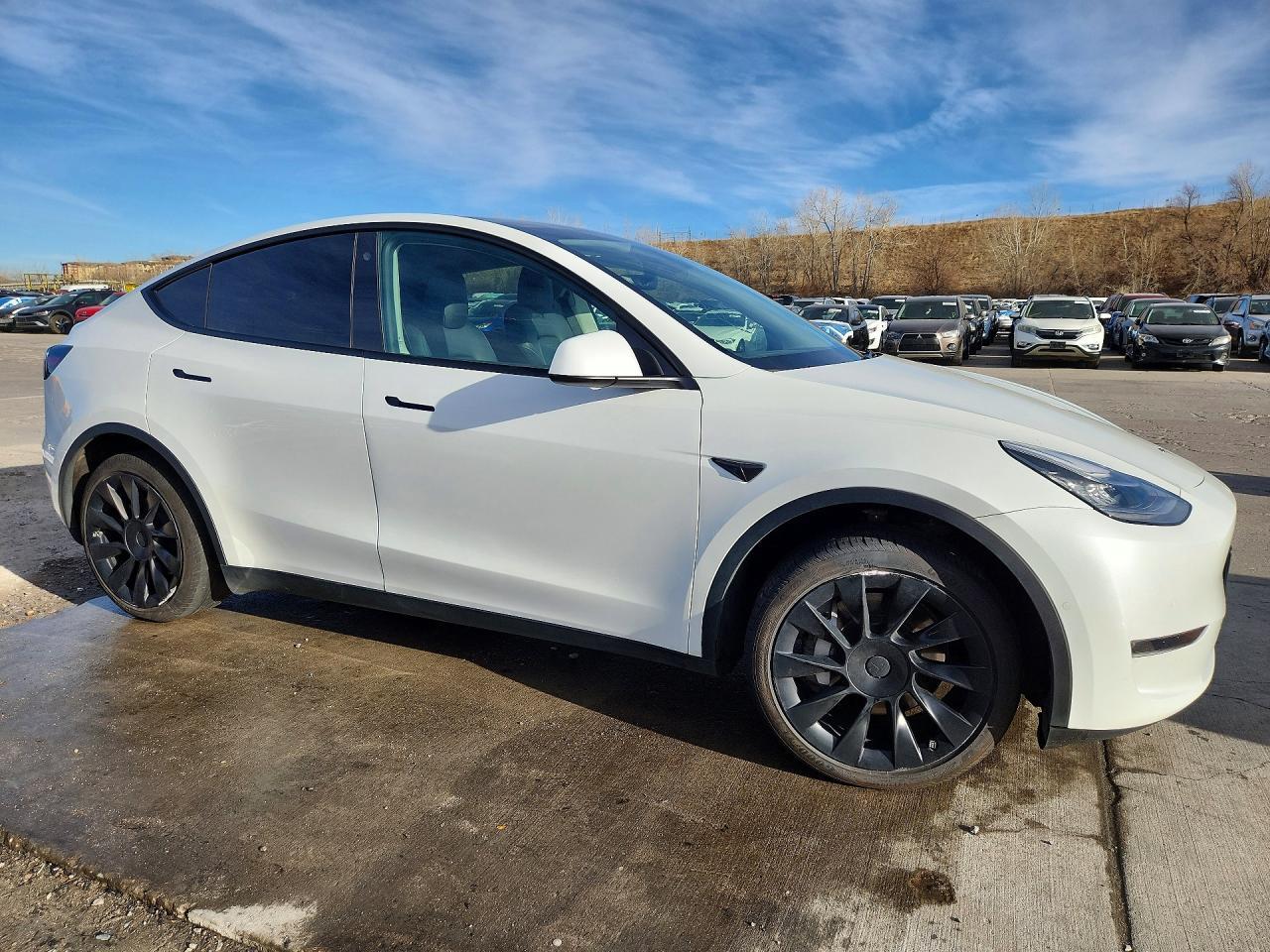 2021 Tesla Model Y - Фото 4