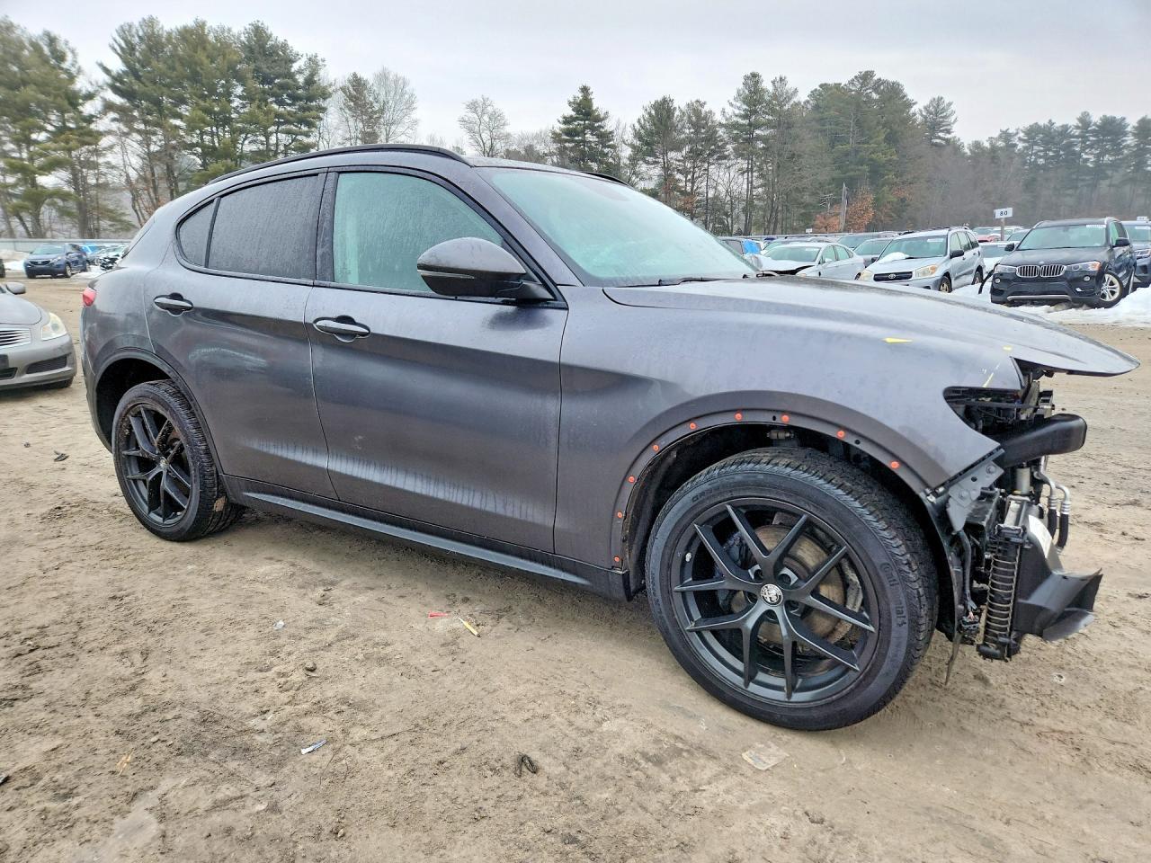 2019 Alfa Romeo Stelvio Quadrifoglio - Image 4