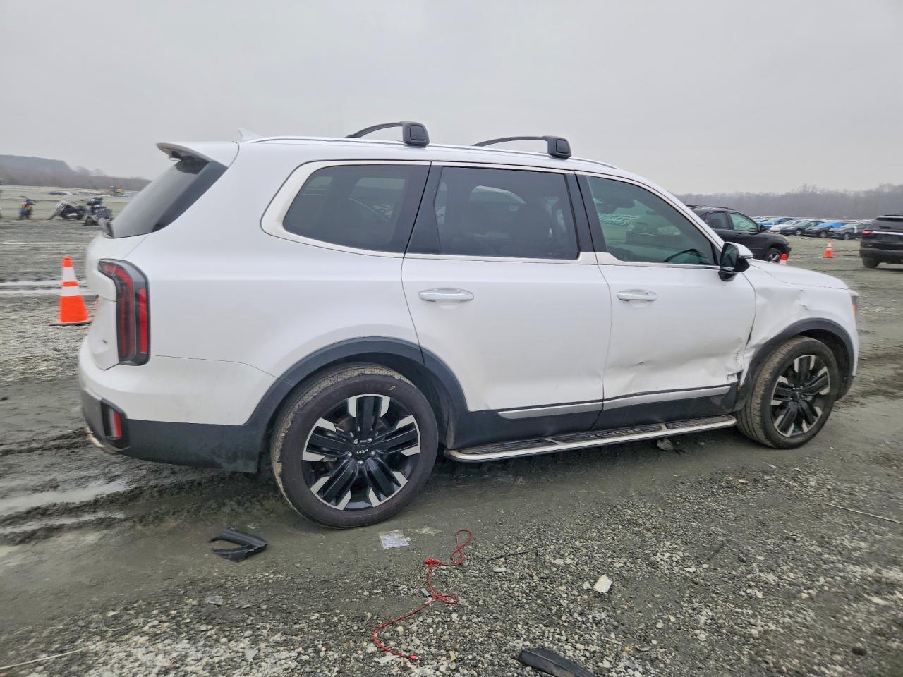 2023 Kia Telluride Sx - Фото 3