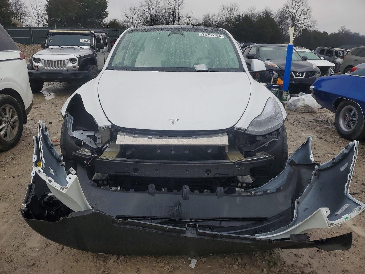 2023 Tesla Model Y - Фото 5