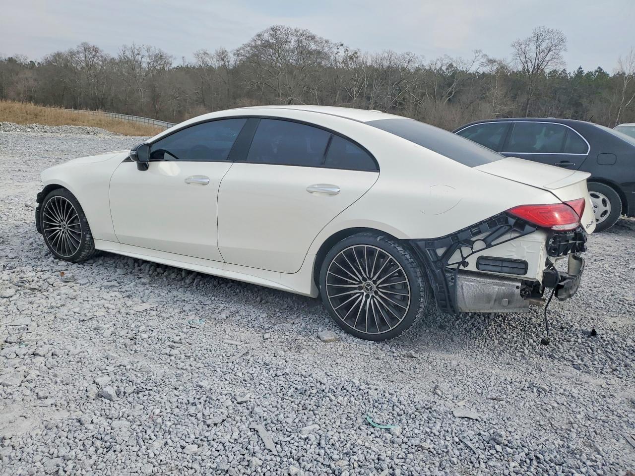2022 Mercedes-Benz Cls 450 4Matic - Фото 2
