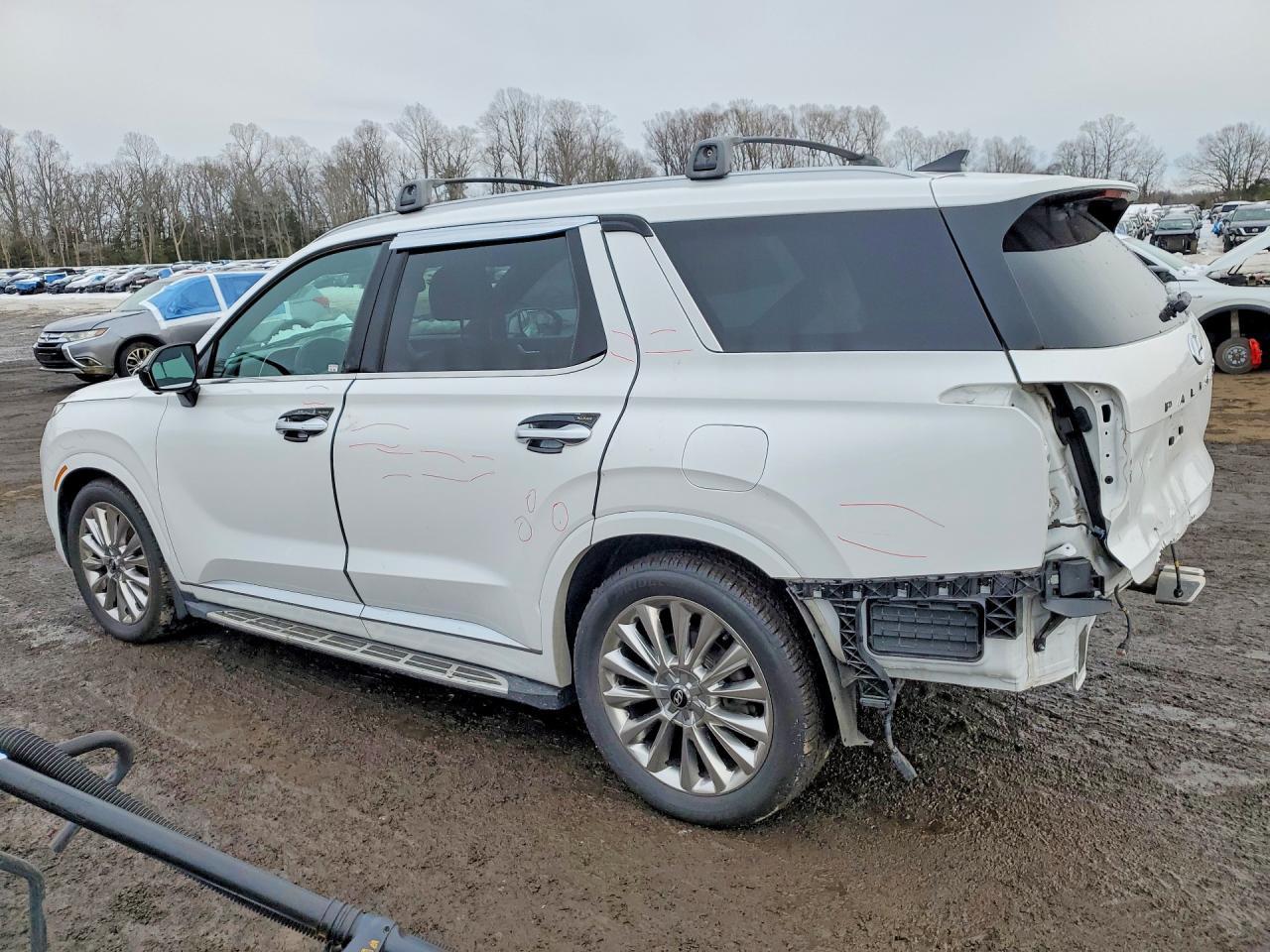 2020 Hyundai Palisade Limited - Image 2