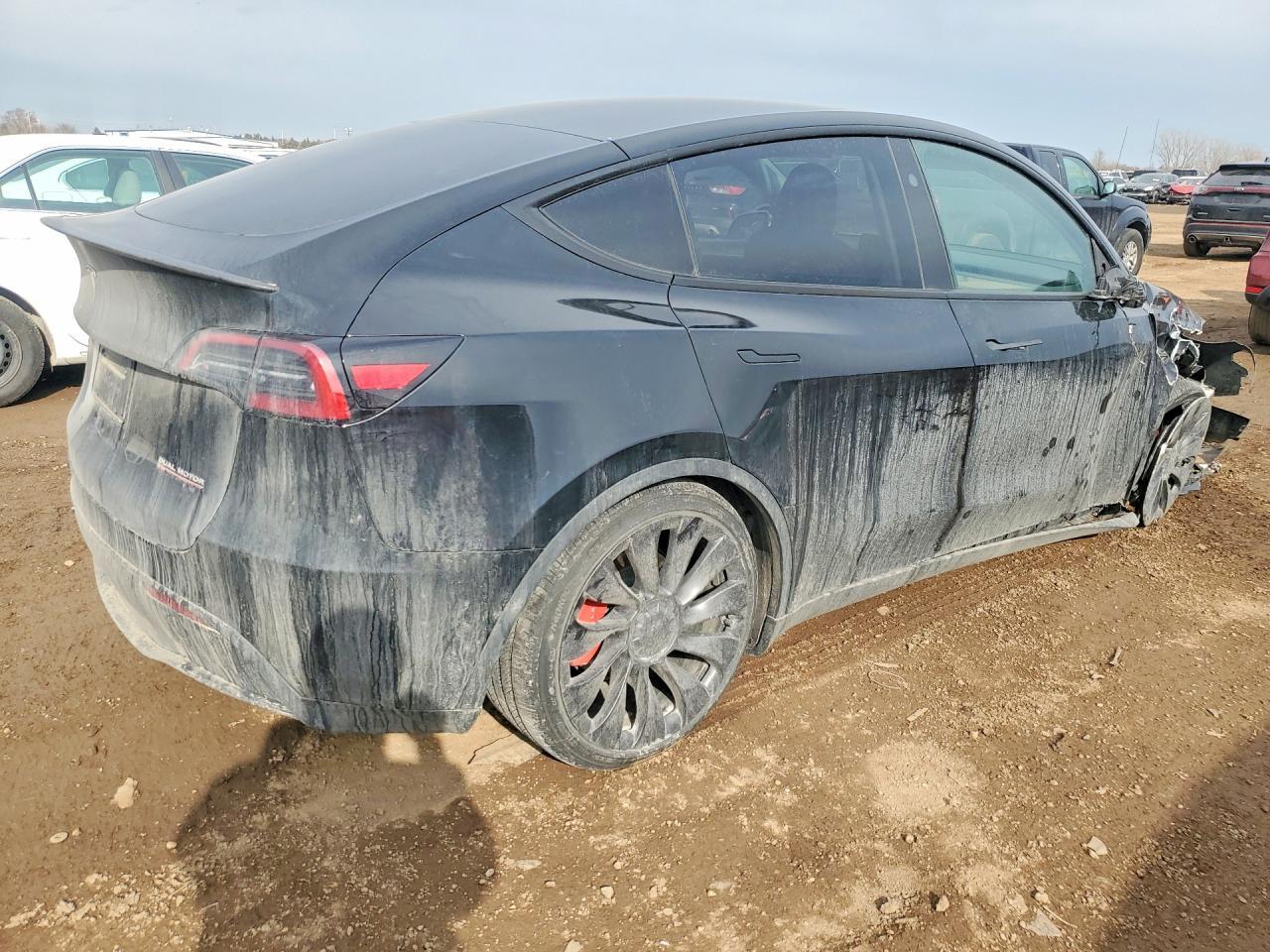 2025 Tesla Model Y - Фото 3