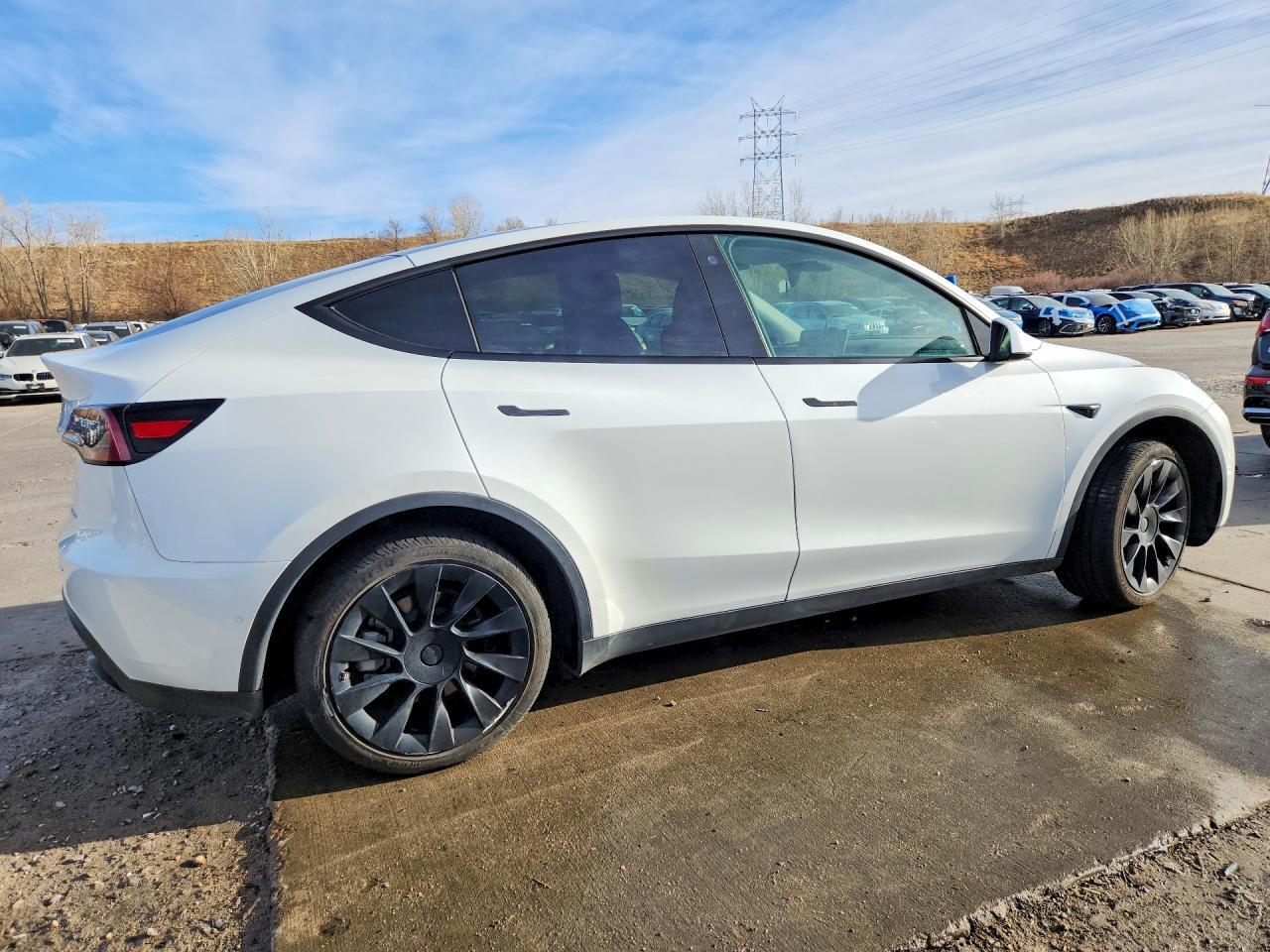 2021 Tesla Model Y - Фото 3