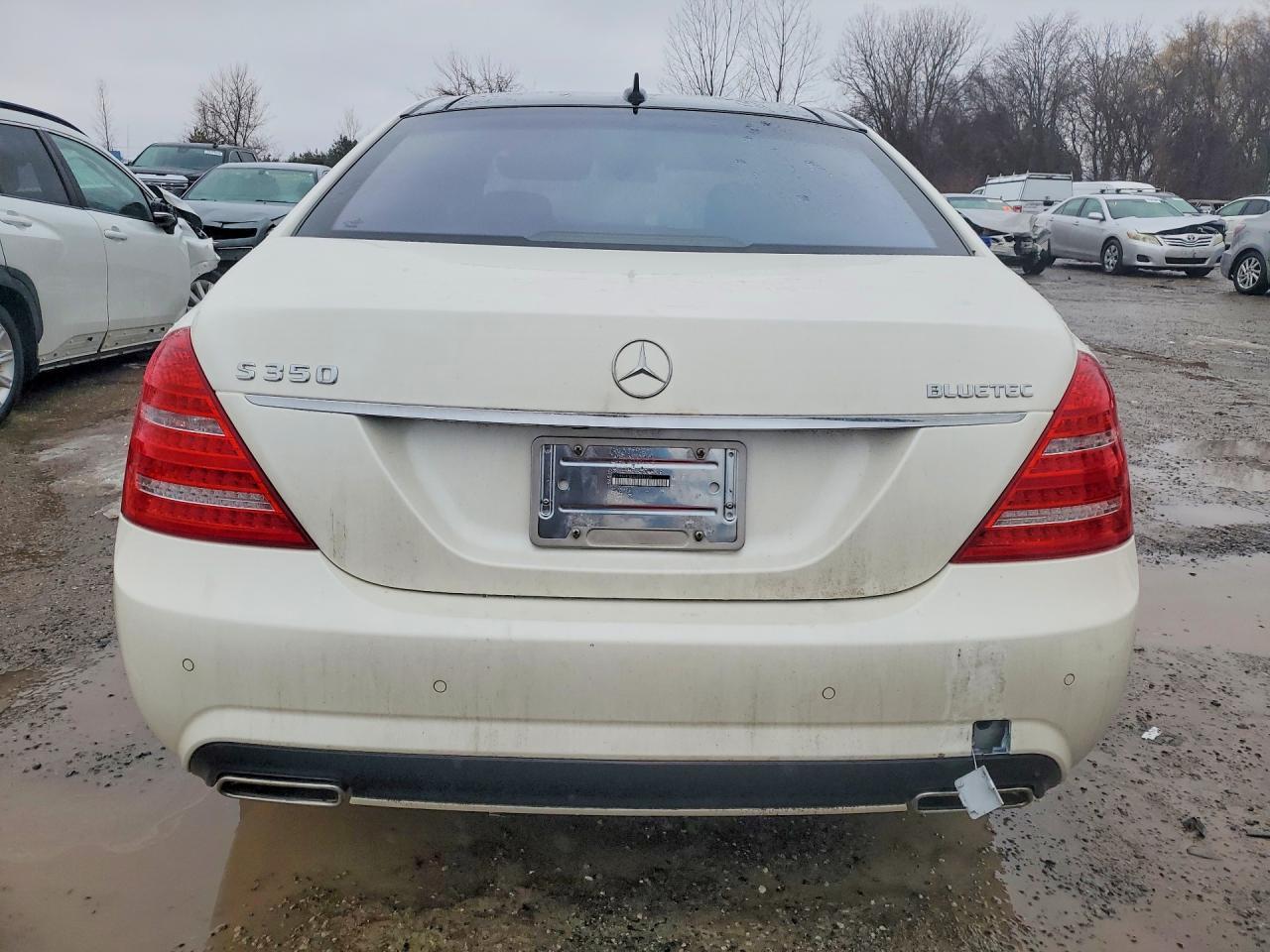 2013 Mercedes-Benz S 350 Bluetec - Фото 6
