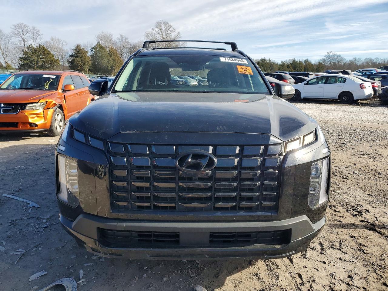 2025 Hyundai Palisade Xrt - Фото 5