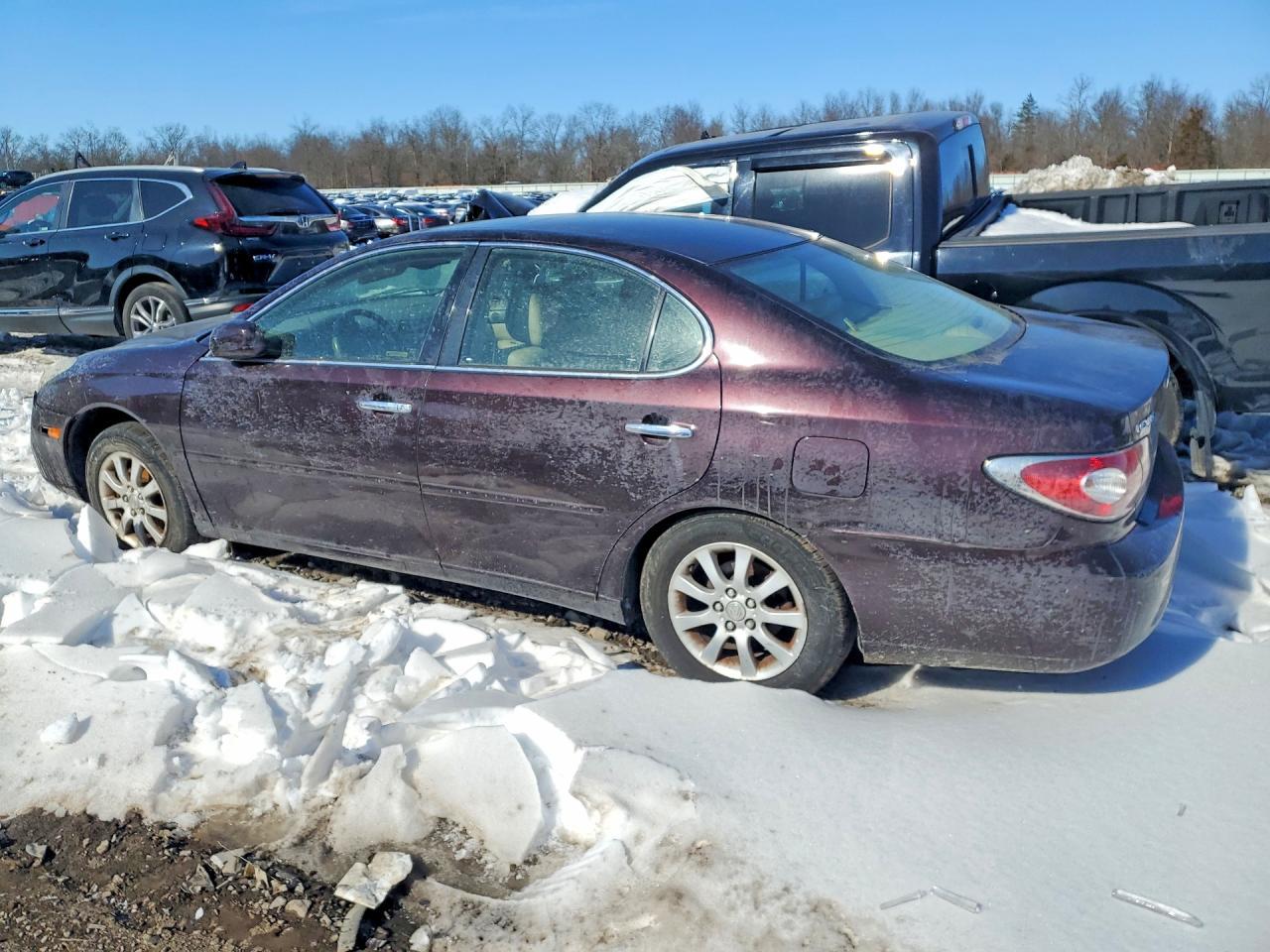 2003 Lexus Es 300 - Фото 2