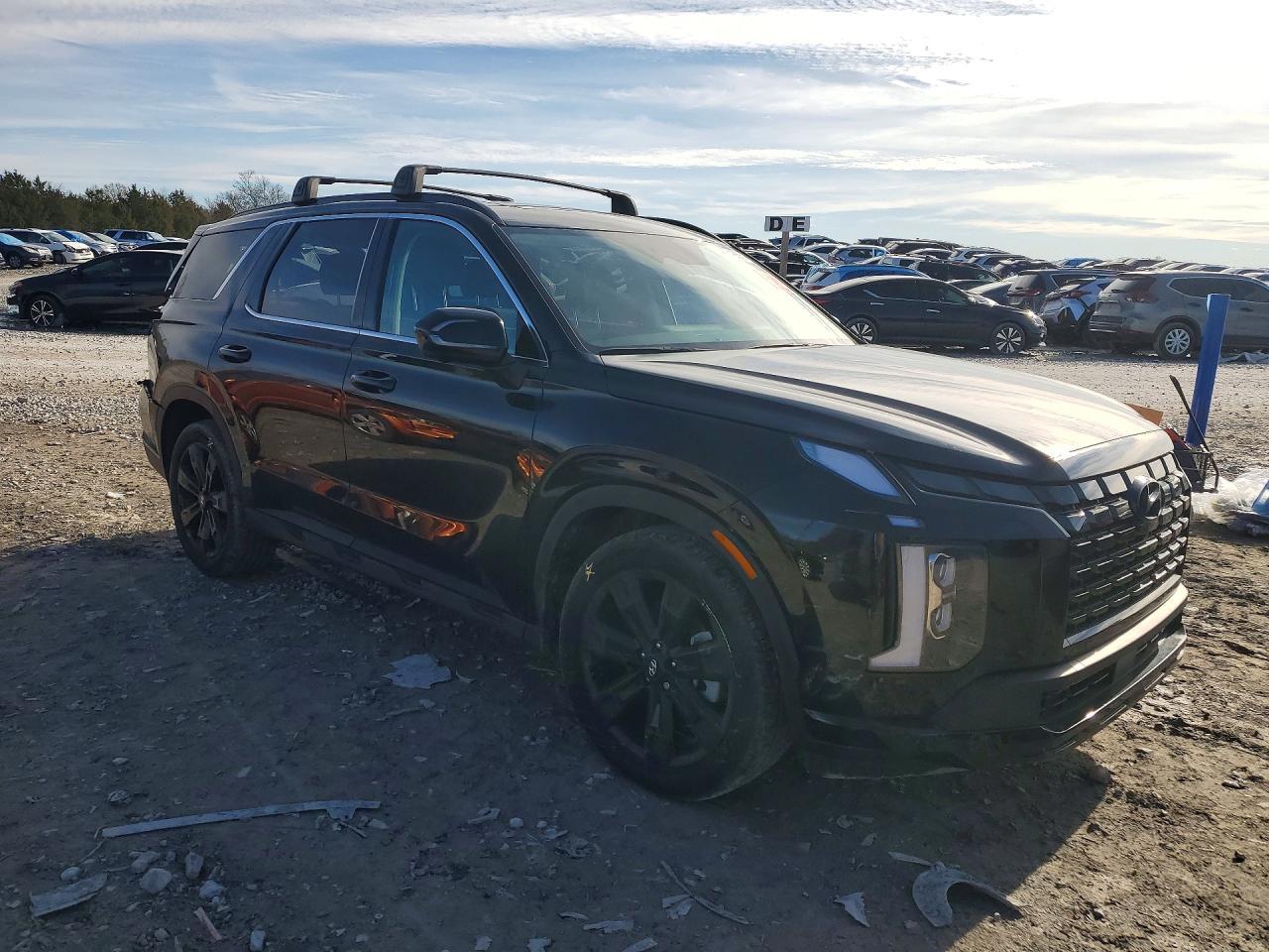 2025 Hyundai Palisade Xrt - Фото 4