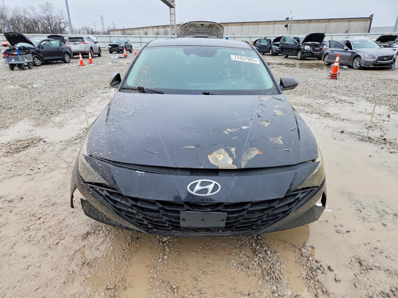 2023 Hyundai Elantra Hybrid 4D Sedan Blue - Фото 5