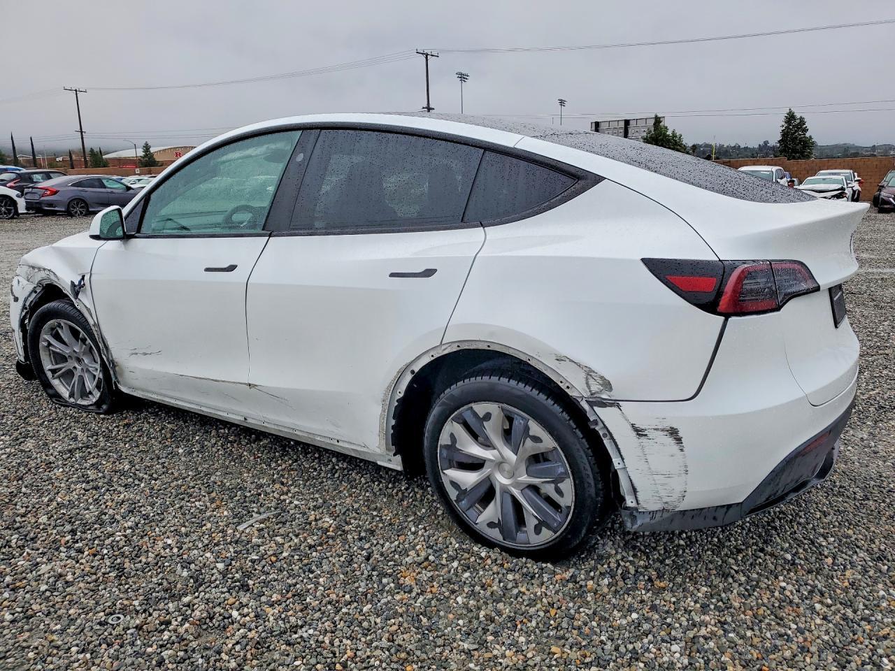 2023 Tesla Model Y - Фото 2