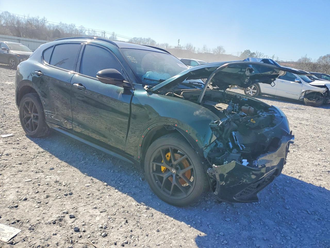 2021 Alfa Romeo Stelvio Ti - Фото 4