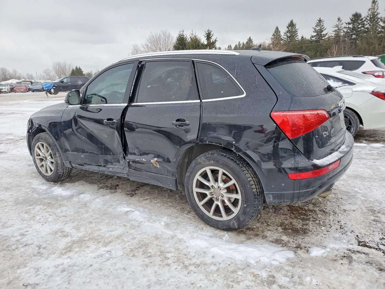 2010 Audi Q5 Premium Plus - Фото 2