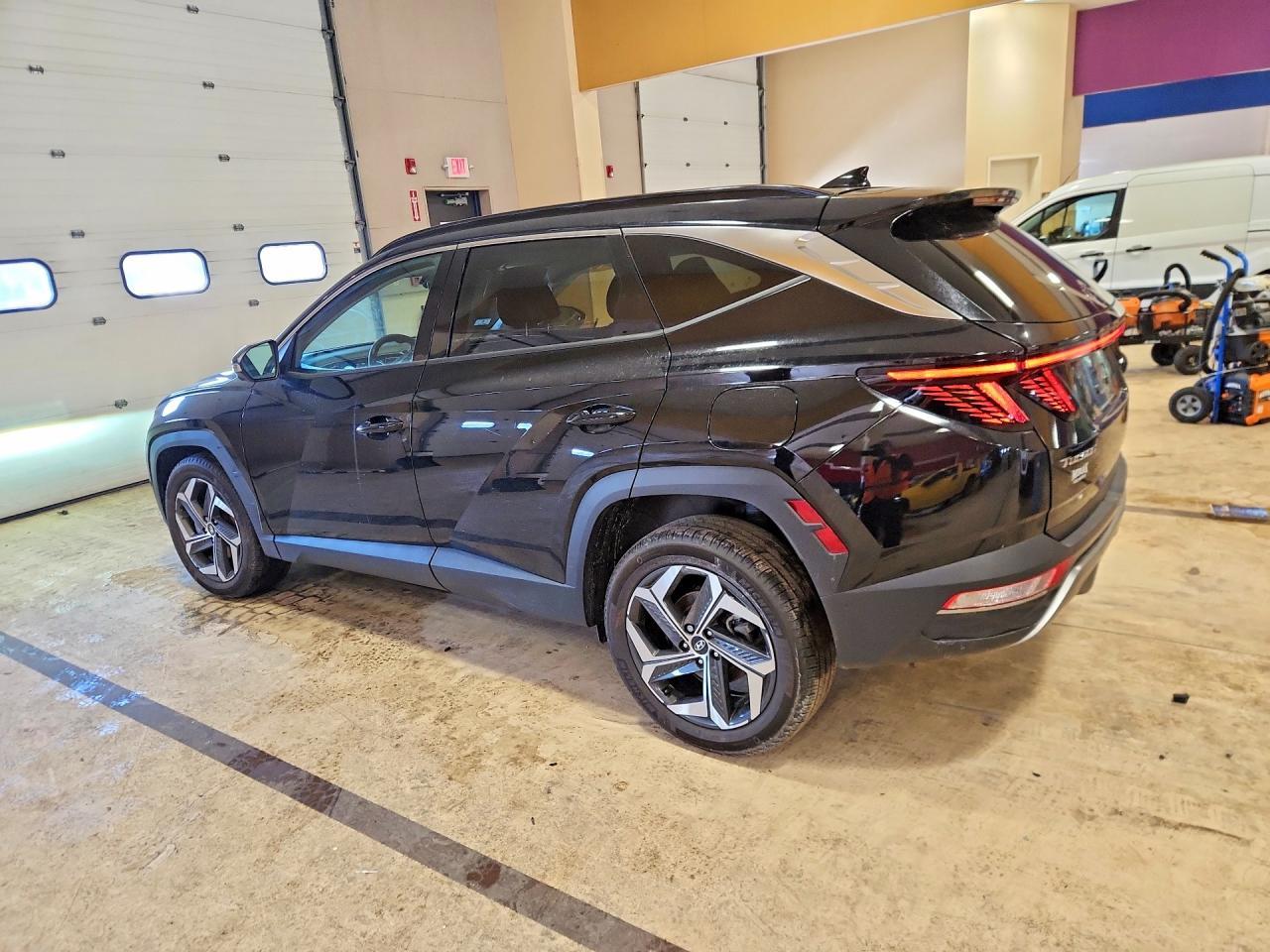 2024 Hyundai Tucson Limited - Фото 2