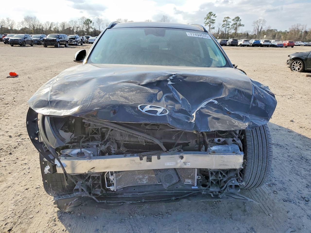 2025 Hyundai Ioniq 5 Limited - Фото 5