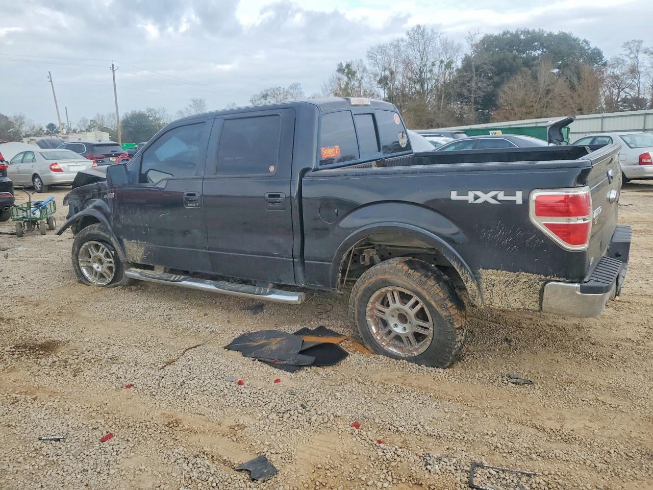 2010 Ford F150 Supercrew - Фото 2