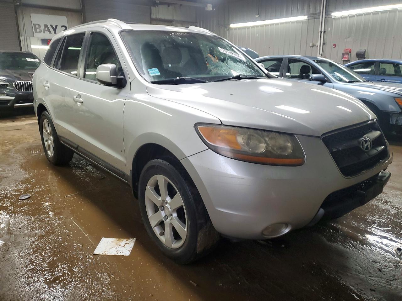 2007 Hyundai Santa Fe Se - Фото 4