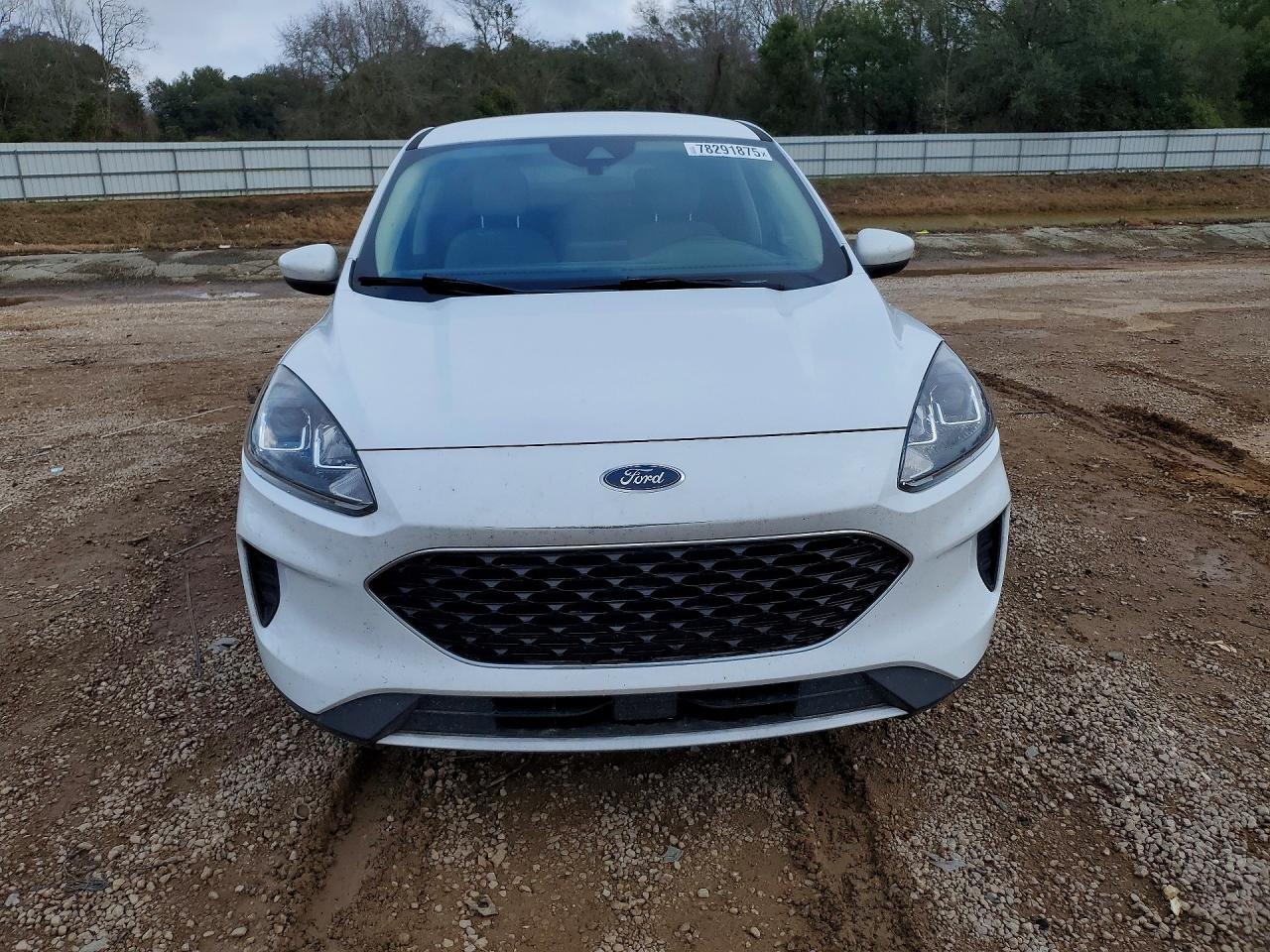 2020 Ford Escape Se - Image 5