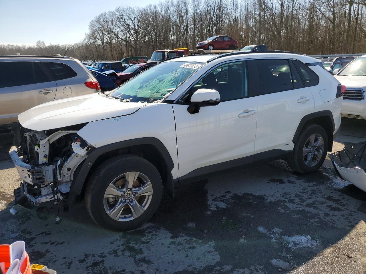2024 Toyota Rav4 Hybrid Xle