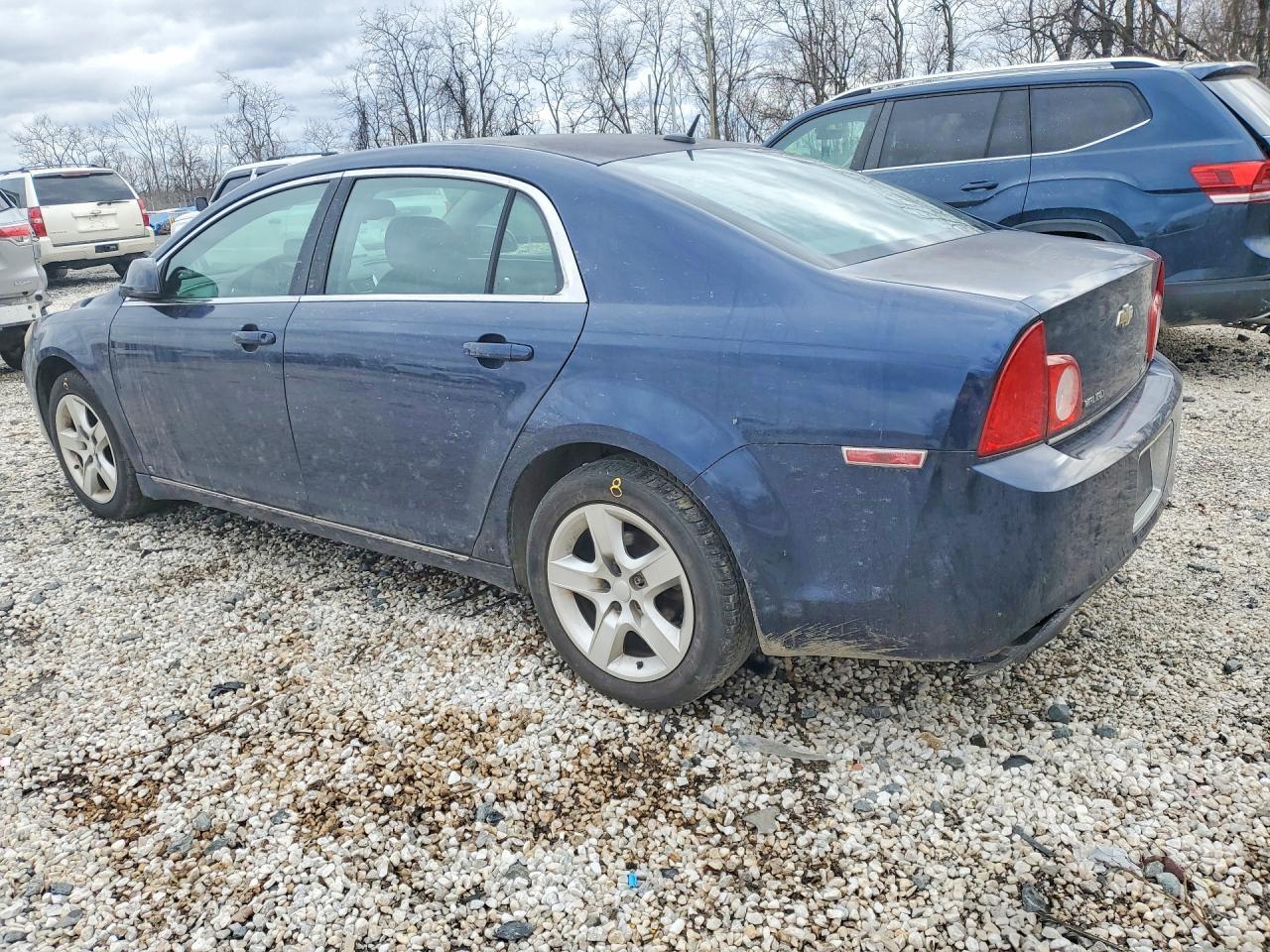 2009 Chevrolet Malibu 1Lt - Фото 2