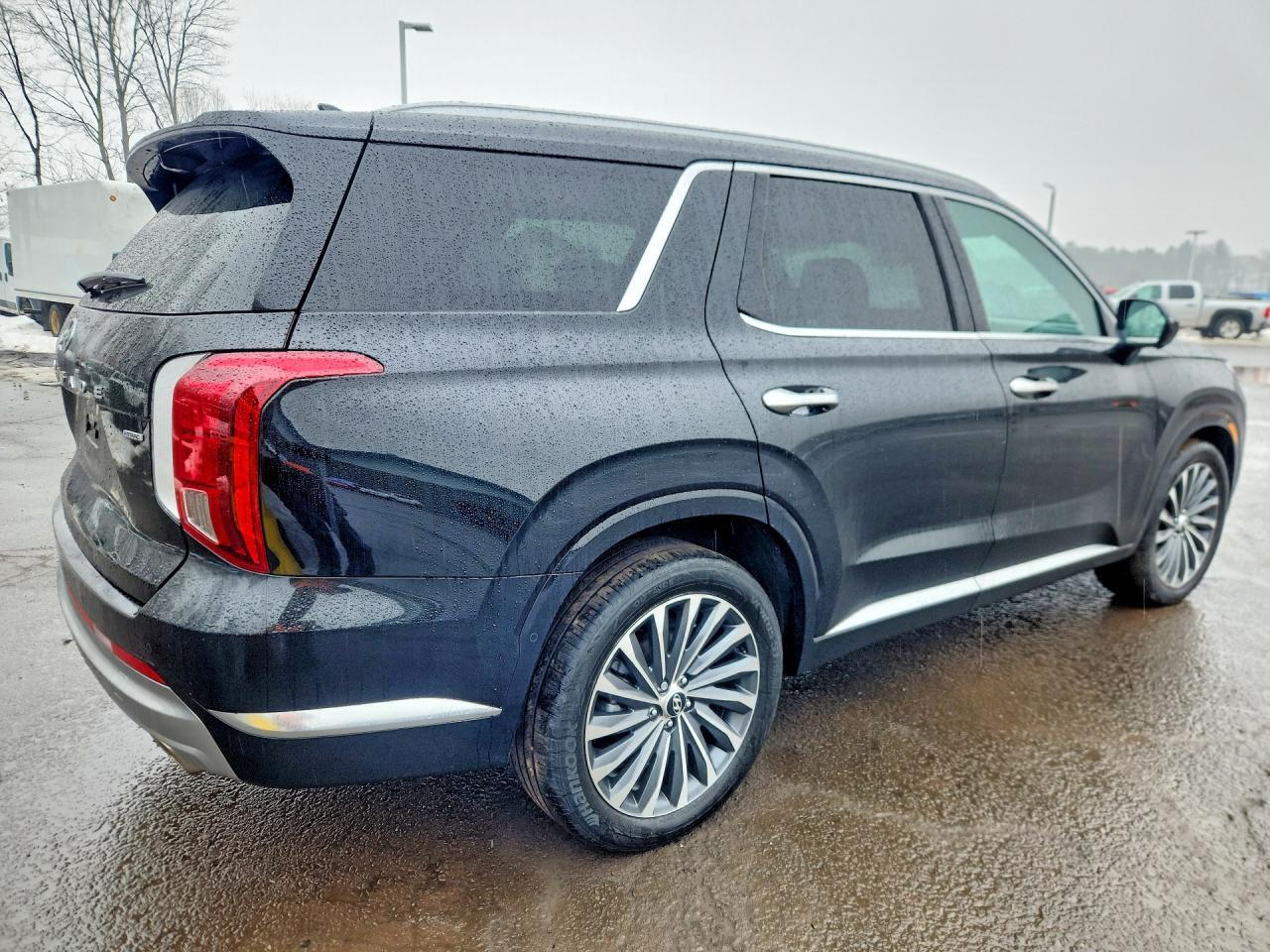 2024 Hyundai Palisade Calligraphy - Фото 3