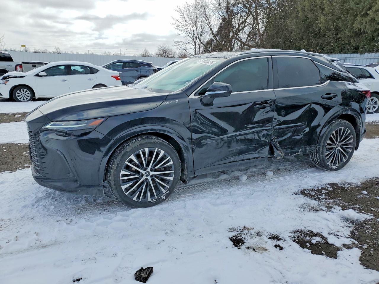 2023 Lexus Rx