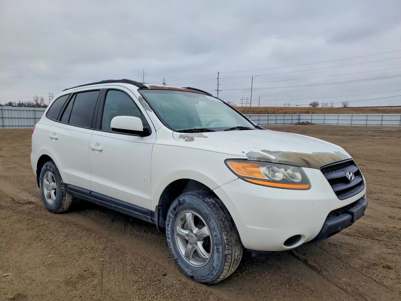 2008 Hyundai Santa Fe Gls - Фото 4