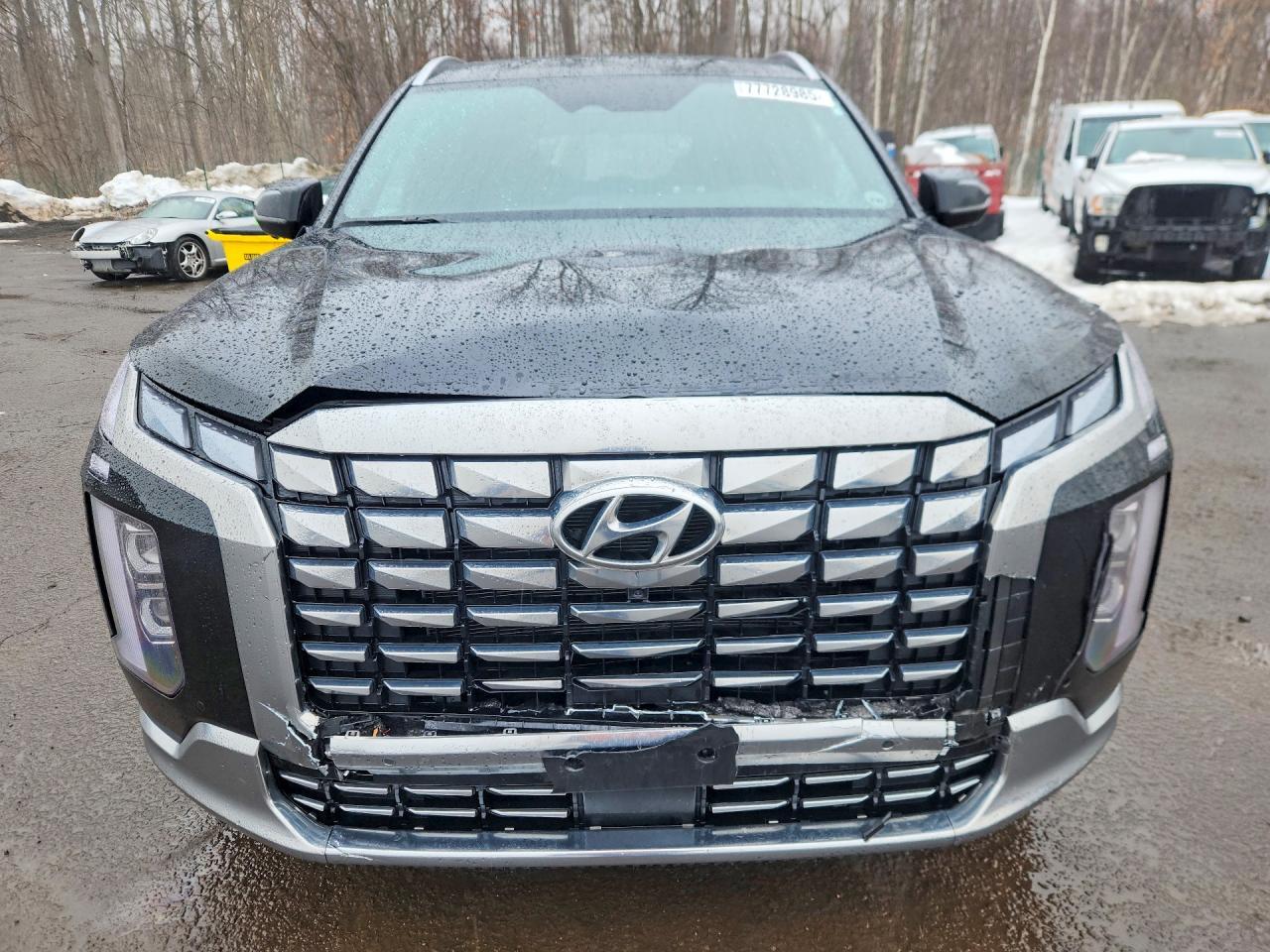 2024 Hyundai Palisade Calligraphy - Фото 5
