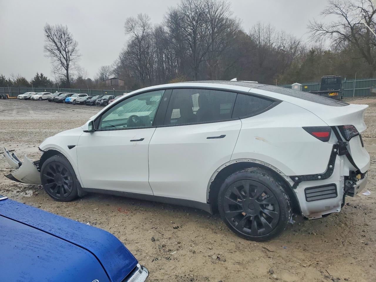 2023 Tesla Model Y - Фото 2