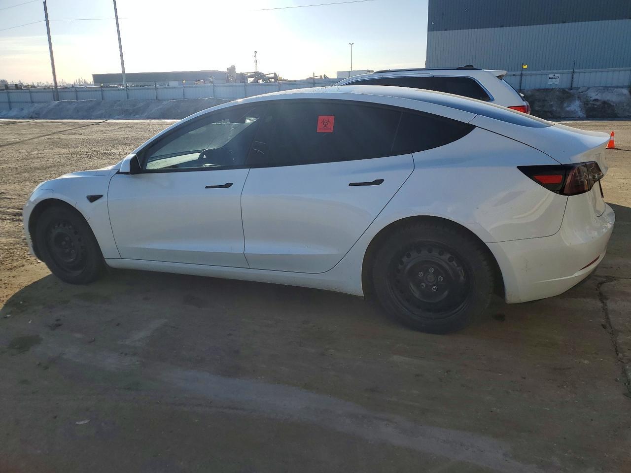 2023 Tesla Model 3 - Фото 2