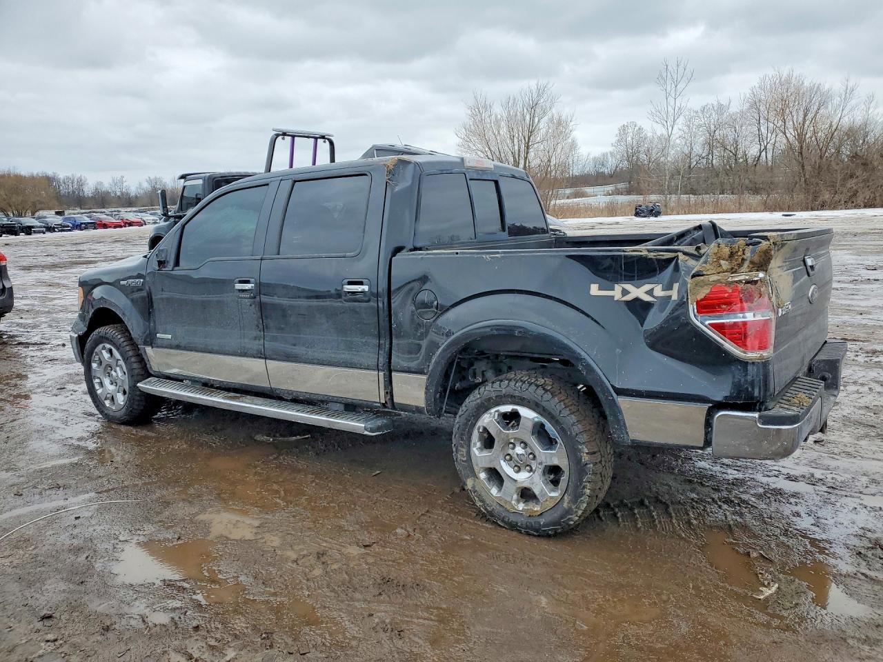 2011 Ford F150 Supercrew - Фото 2