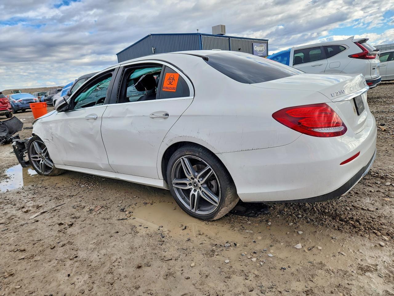 2020 Merz E 350 4Matic - Фото 2