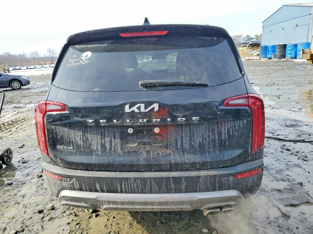 2022 Kia Telluride Ex - Фото 6