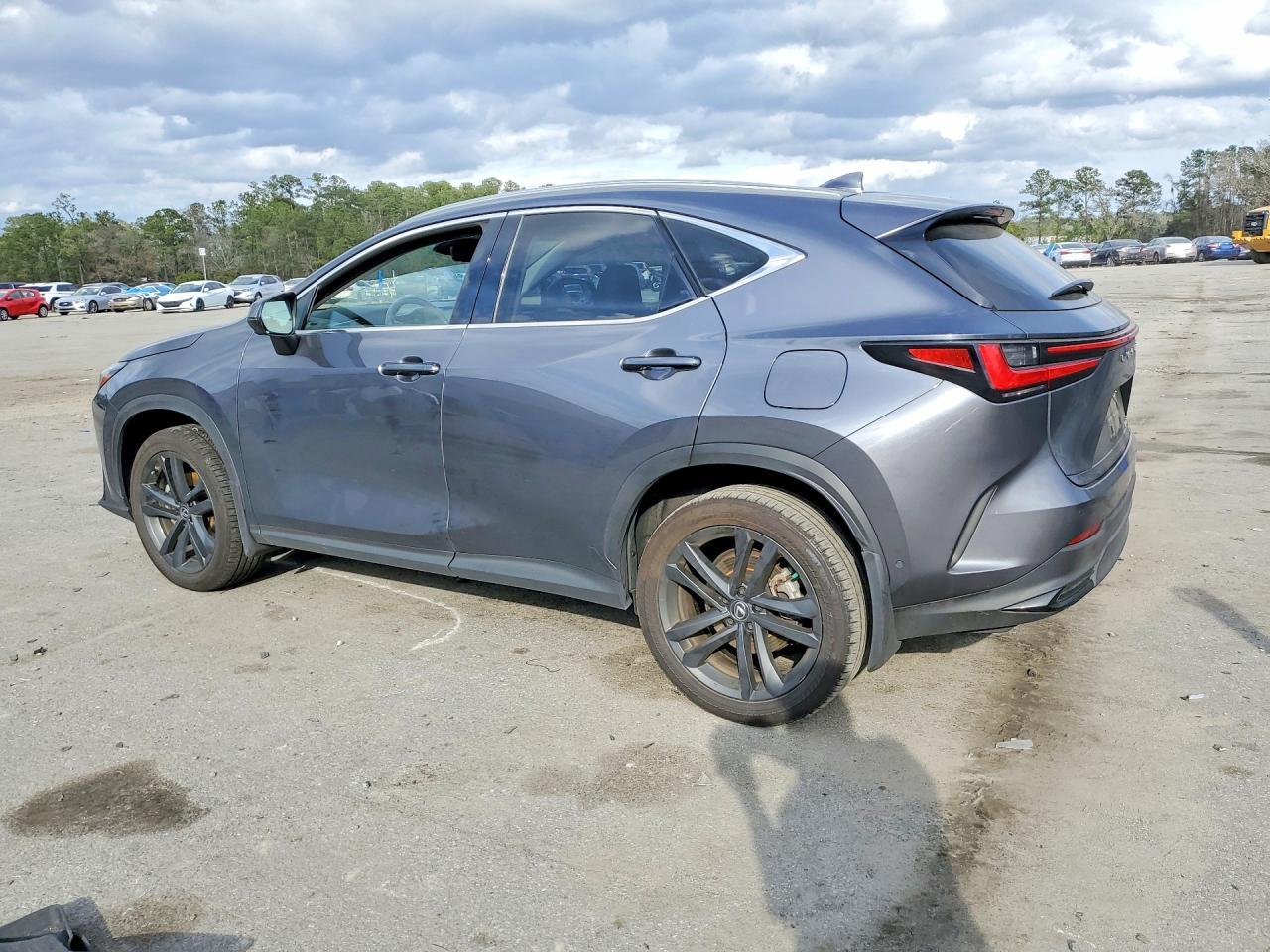 2024 Lexus Nx 450H Luxury - Фото 2