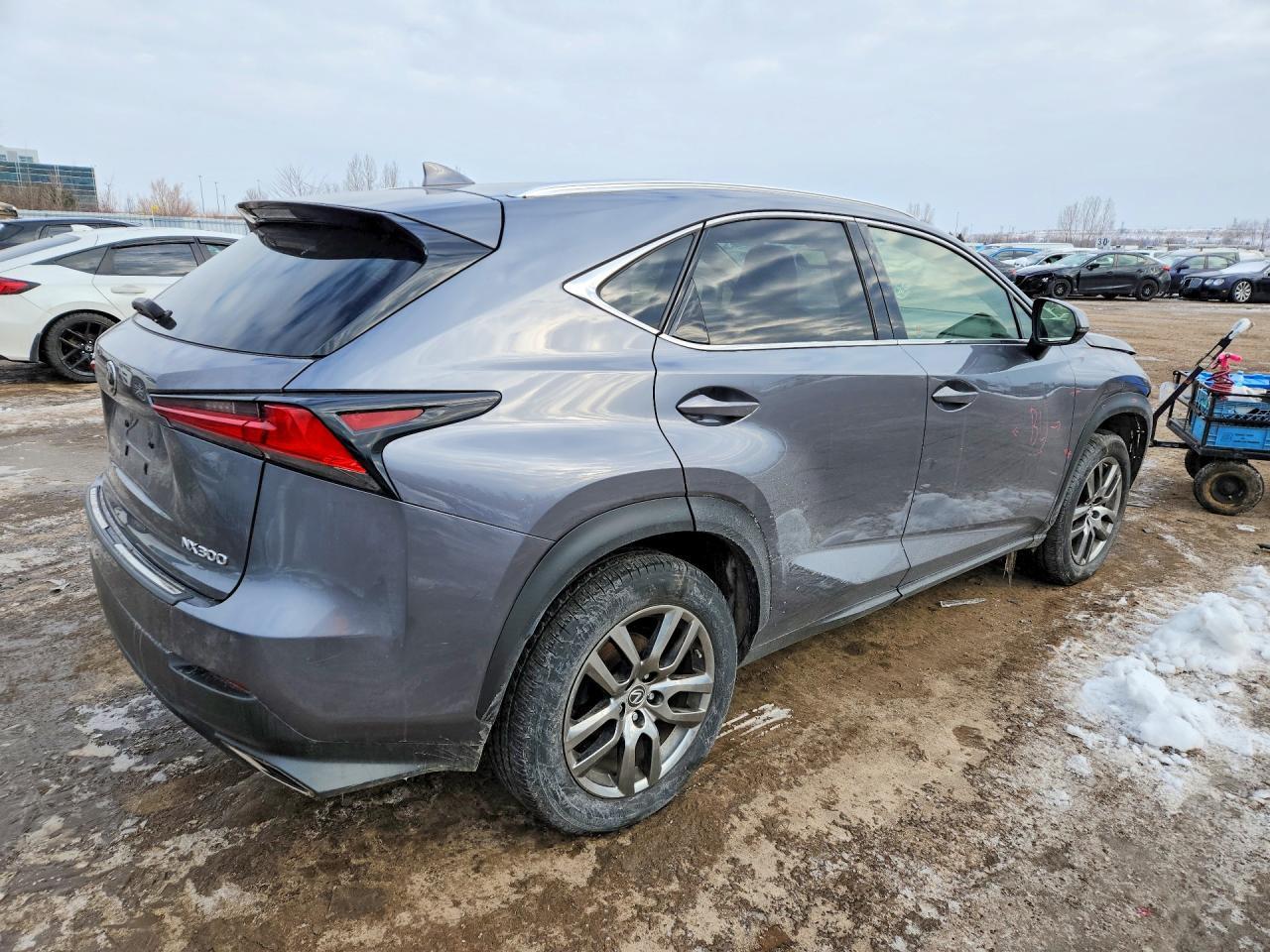 2021 Lexus Nx 300 Base - Фото 3