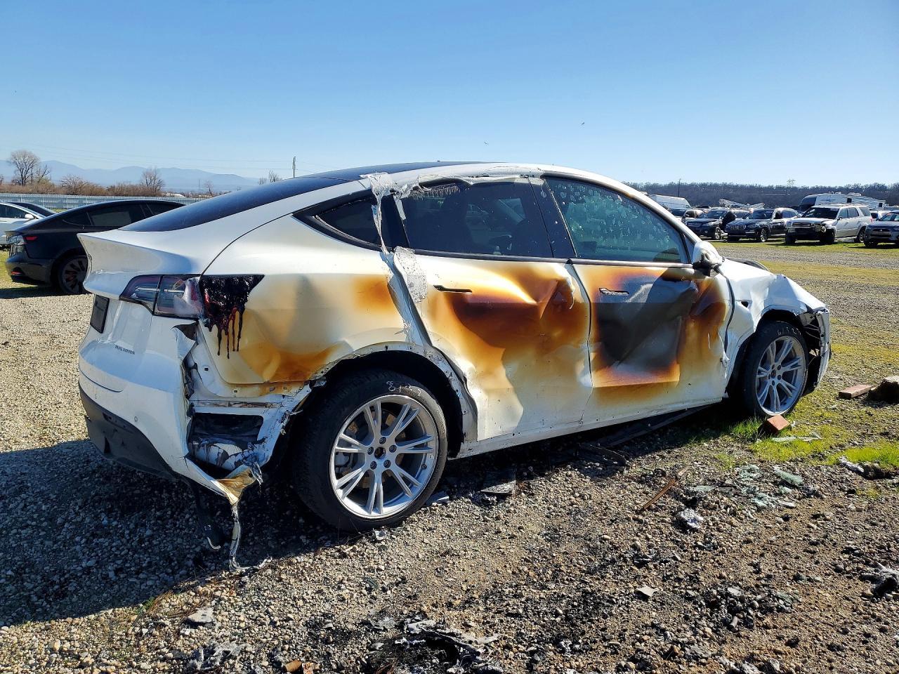 2022 Tesla Model Y - Фото 3