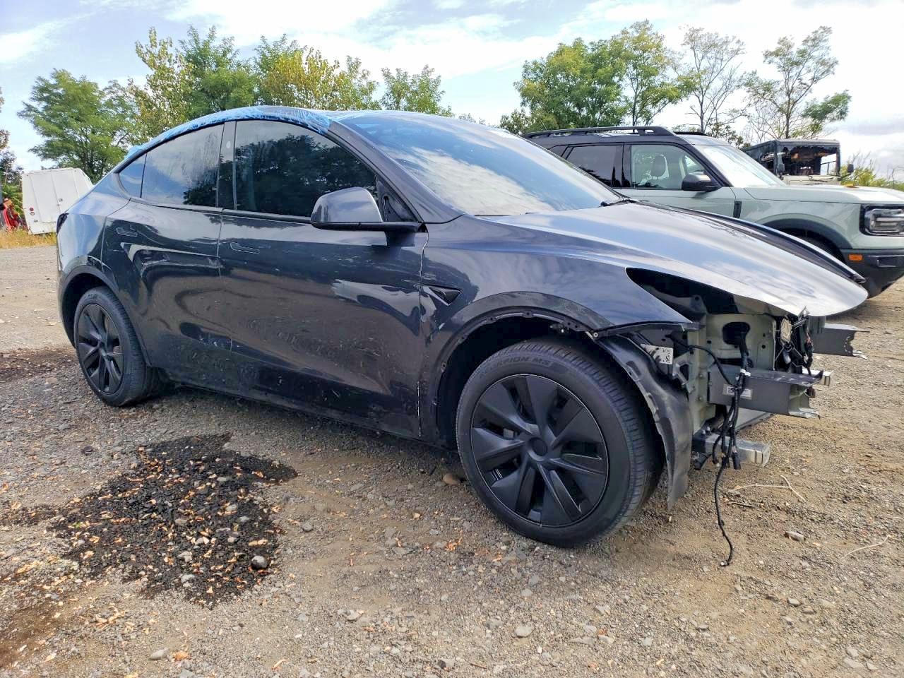 2025 Tesla Model Y - Image 4