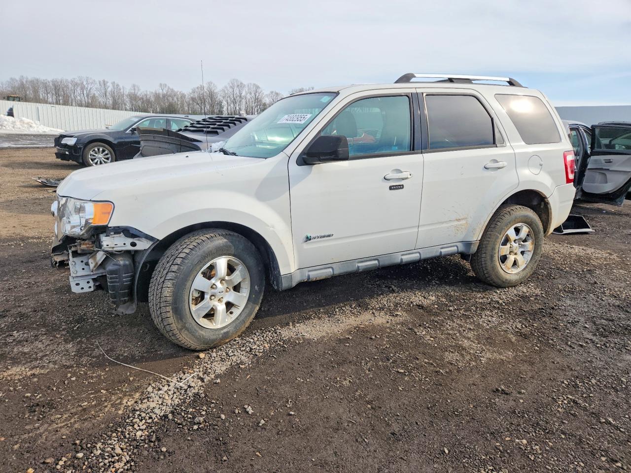 2010 Ford Escape Hybrid
